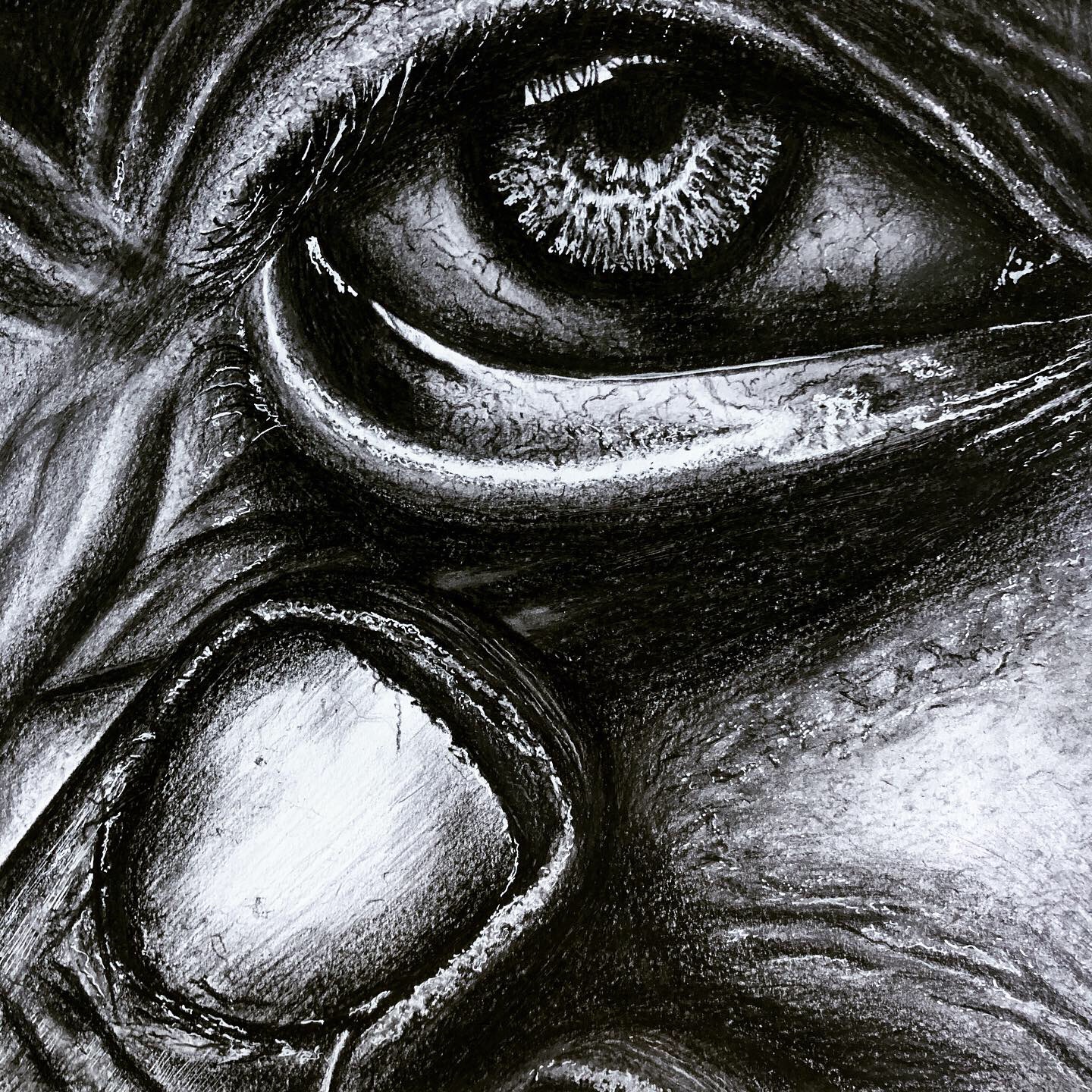 Ojo